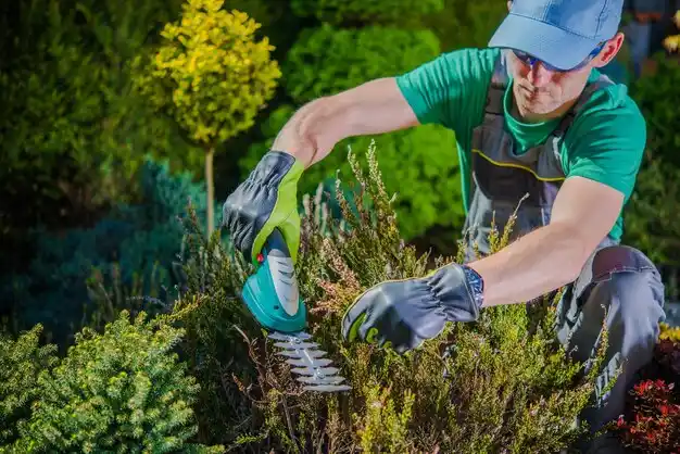 landscaping services Russia
